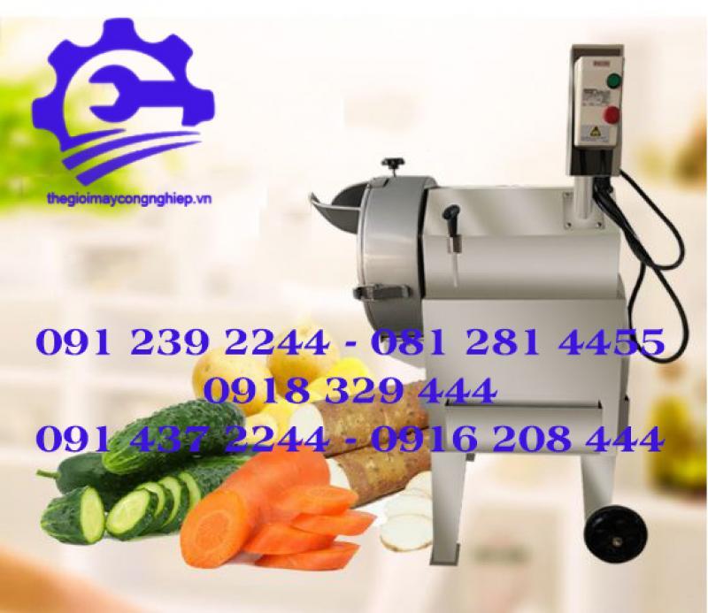 MÁY CẮT RAU CỦ QUẢ ĐA NĂNG – Máy thái rau củ quả nhiều hình dạng