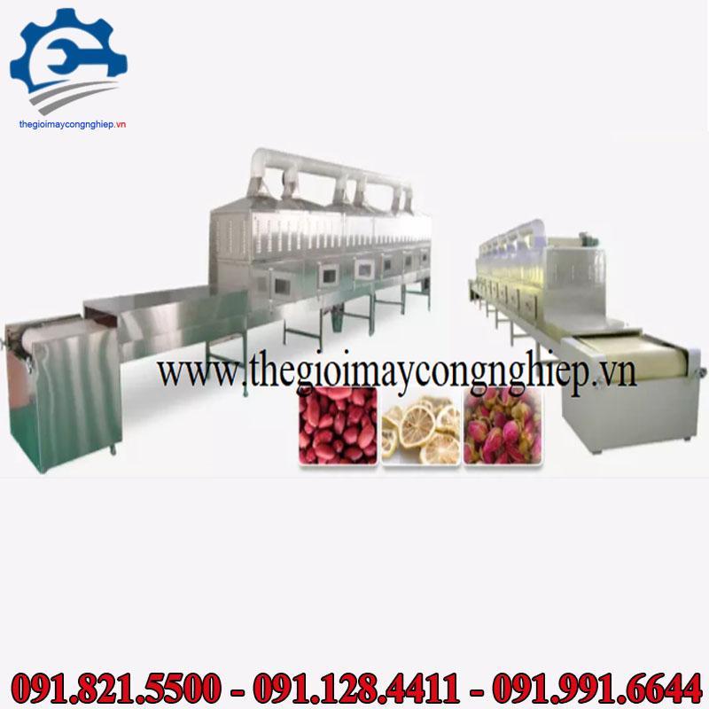 Máy sấy vi sóng – Máy sấy rau, sấy gỗ, sấy hoa quả bằng công nghệ vi sóng