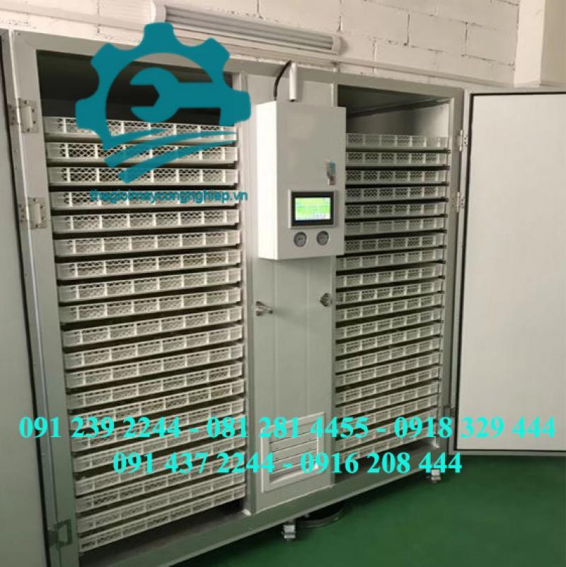 Máy sấy thực phẩm - Tủ sấy trái cây công suất lớn