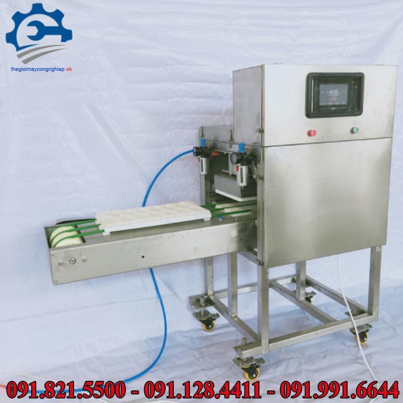 Máy định hình thịt- Máy ép thịt theo khuôn, máy ép định hình thịt cá